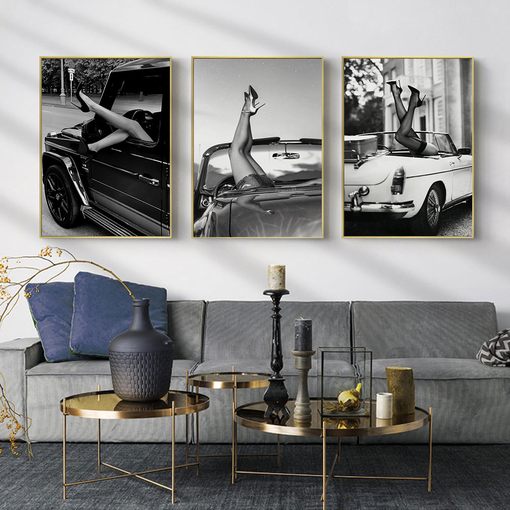 Black and White Luxury Cars, S - đánh giá và giá Waterproof Spray Shoe